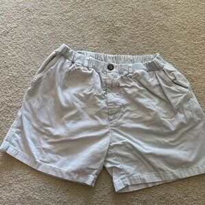 Light Blue Chubbies Shorts